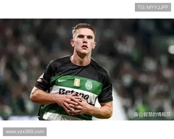 新赛季欧洲足坛风云再起豪门引援激战焦点对决前瞻与争冠格局解析